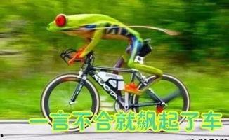 娱乐吃瓜酱自行车